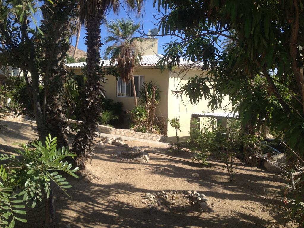 Surfer'S Paradise, Yoga&Food Garden@Costa Azul, Los Cabos San José del Cabo Екстериор снимка